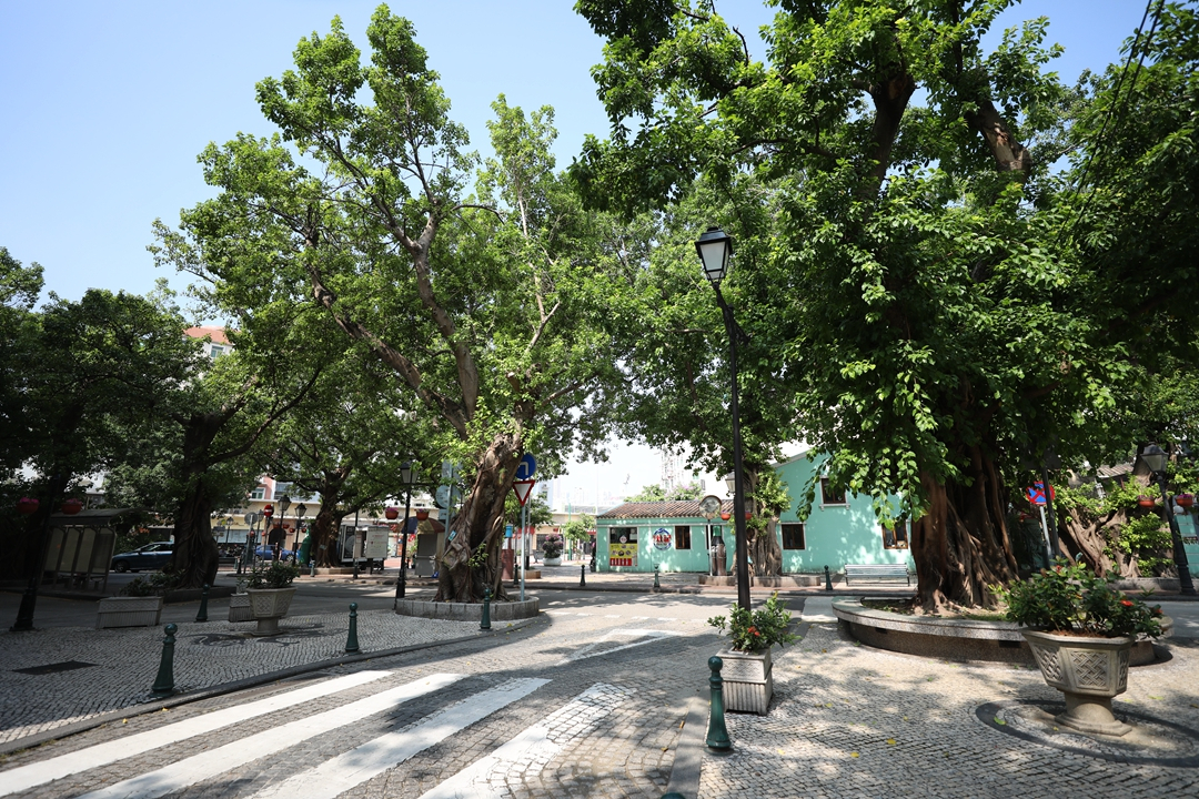 澳门做美食的人,去澳门一定不能错过哪些美食