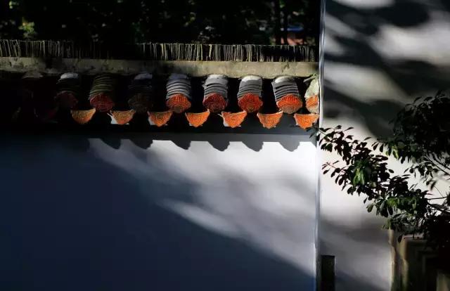 北京到香港高铁深度体验,北京到香港高铁什么时候开通