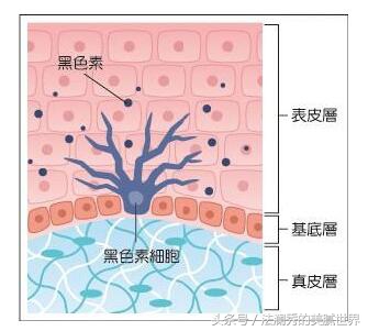 娜扎美白最快方法,娜扎美白小技巧