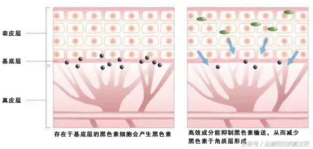 娜扎美白最快方法,娜扎美白小技巧