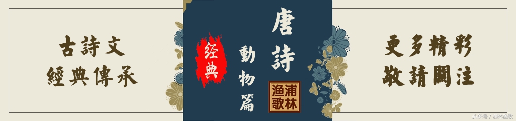 描写动物的古诗十首,十首关于动物的古诗