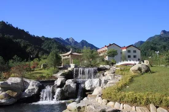 板栗树林旅游攻略,陕西板栗之乡风景图