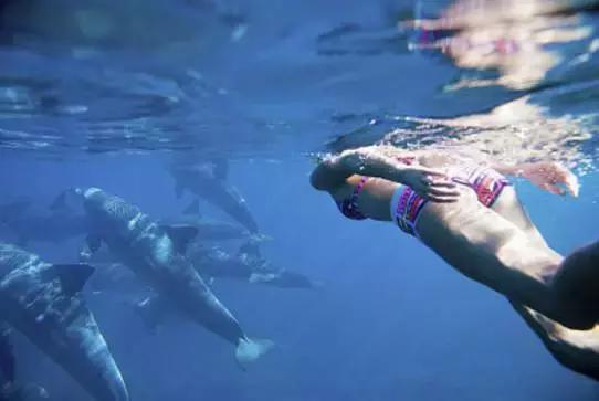 不想去旅行了是什么原因,30岁不想去旅行