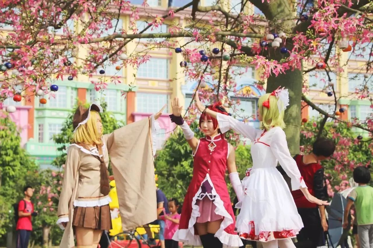 百万葵园一日游门票,葵园免费门票景点