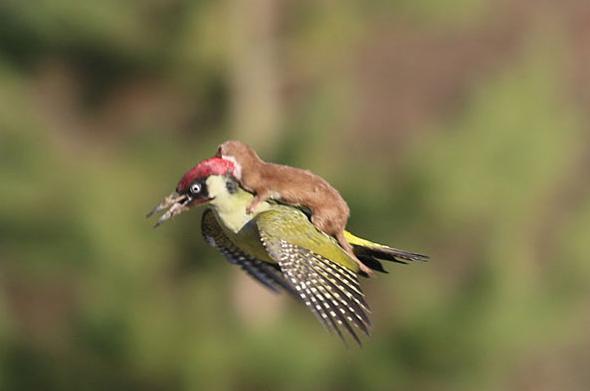 男默女泪系列完整版,男默女泪哪部电视剧好看