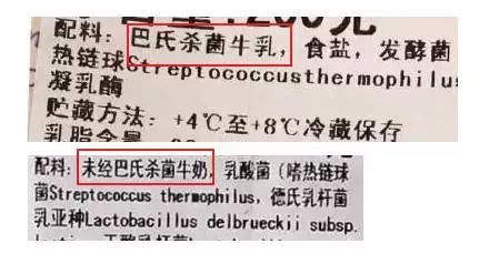 宝宝奶酪口感测评,婴儿奶酪哪款最好