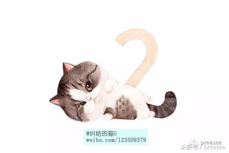 北京｜爱猫却不能亲近，于是她画出了一群萌猫