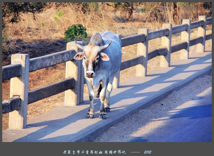 娲ュ反甯冮煢鎶楄闈炴硶鍒惰,娲ュ反甯冮煢涓轰粈涔堣鍒惰