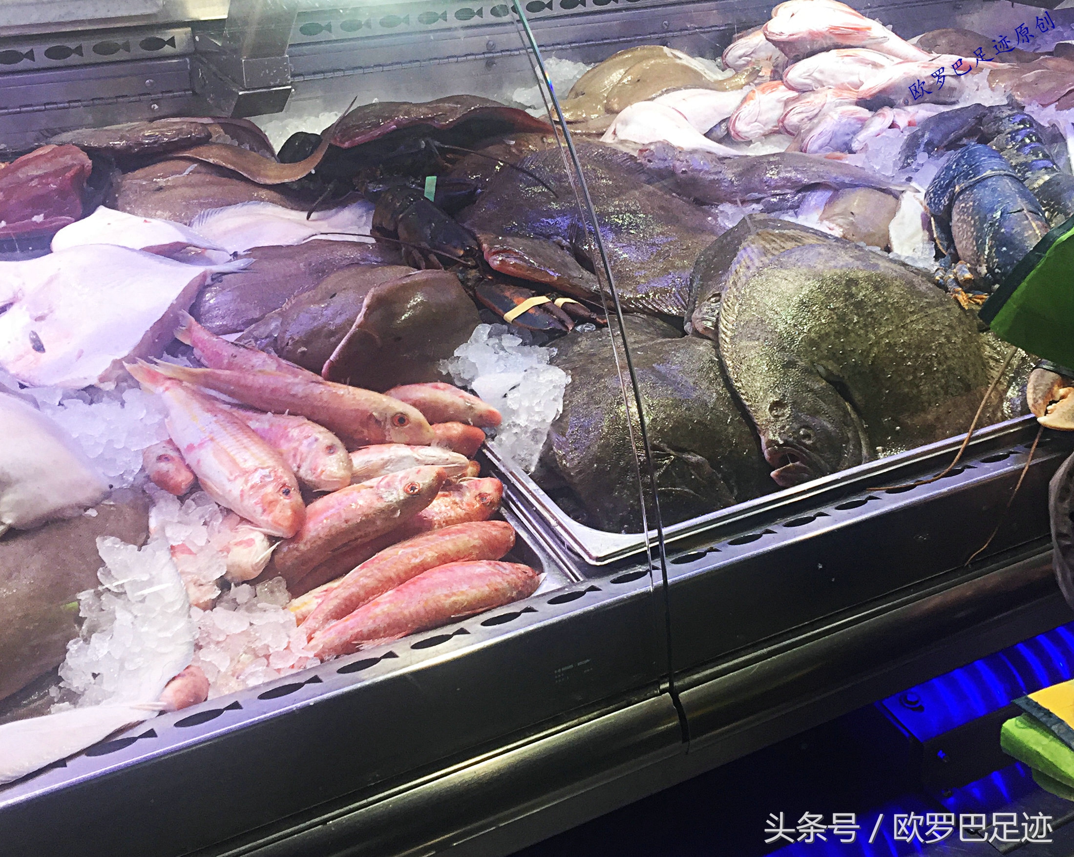 中国厨子邂逅欧洲小镇海鲜市,不认识的鱼炖起来也不手软