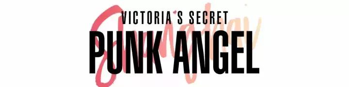 2017年维密秀视频完整版,2017维密秀现场直播