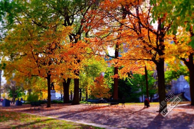 碉堡|美东+加拿大15天半自由行!附加你们最关心的购物退税攻略