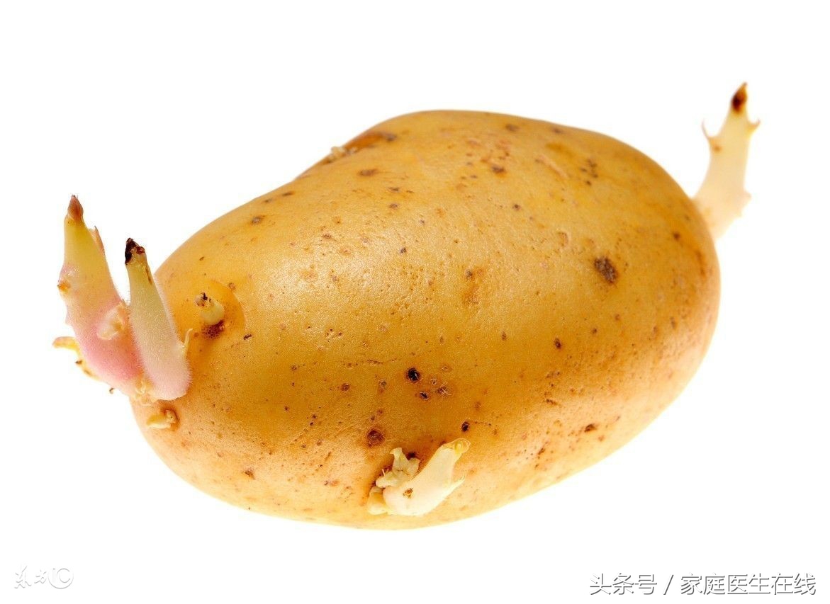 发芽的土豆毒性有多大,土豆长出来有毒吗
