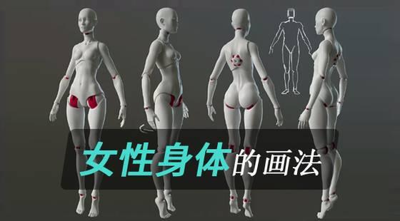 超认真的小白绘画教程你学会了吗,从零开始基础绘画教程