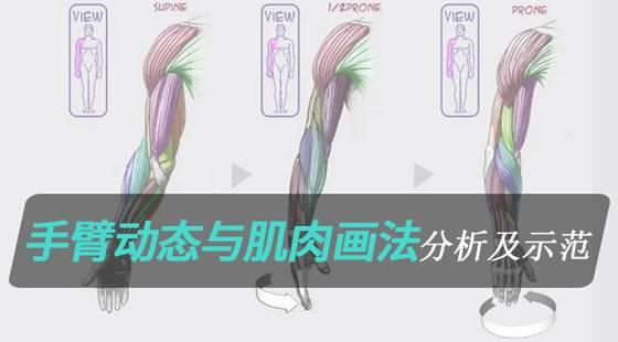 超认真的小白绘画教程你学会了吗,从零开始基础绘画教程