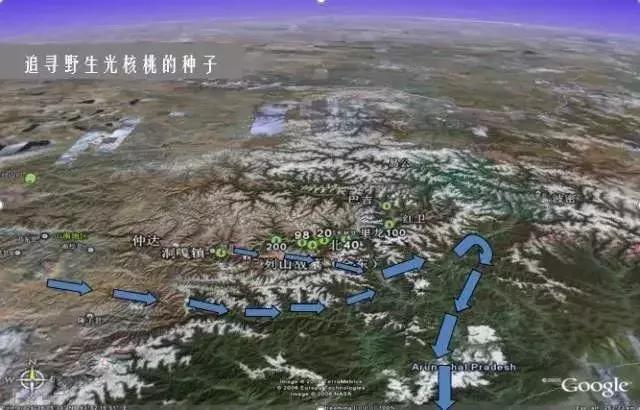 给未来“留种”!他们建的这个库是我见过最酷的