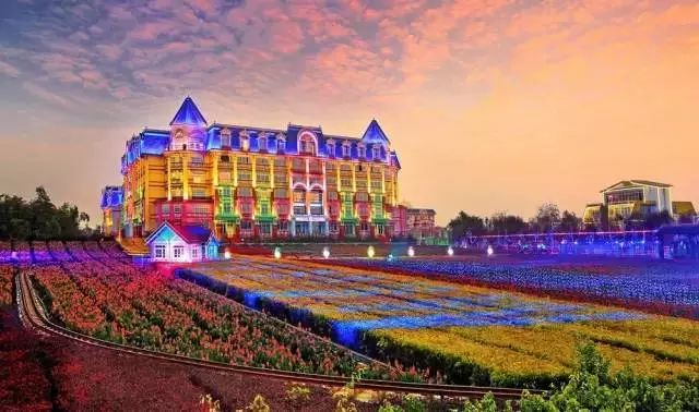 百万葵园一日游门票,葵园免费门票景点