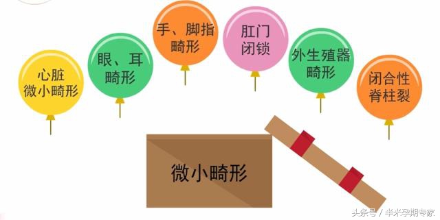 大排畸和小排畸都是四维彩超吗,大排畸和小排畸之间需要做b超吗