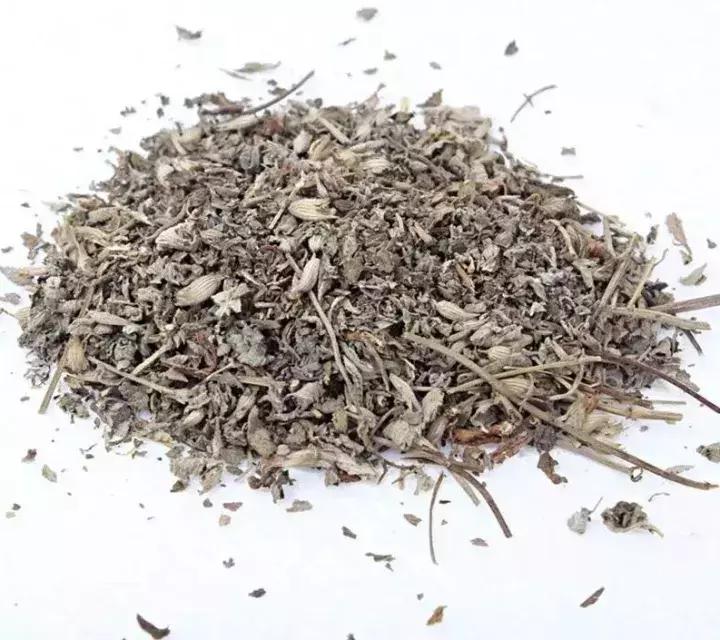 猫咪毛球症，猫草，猫薄荷与木天蓼