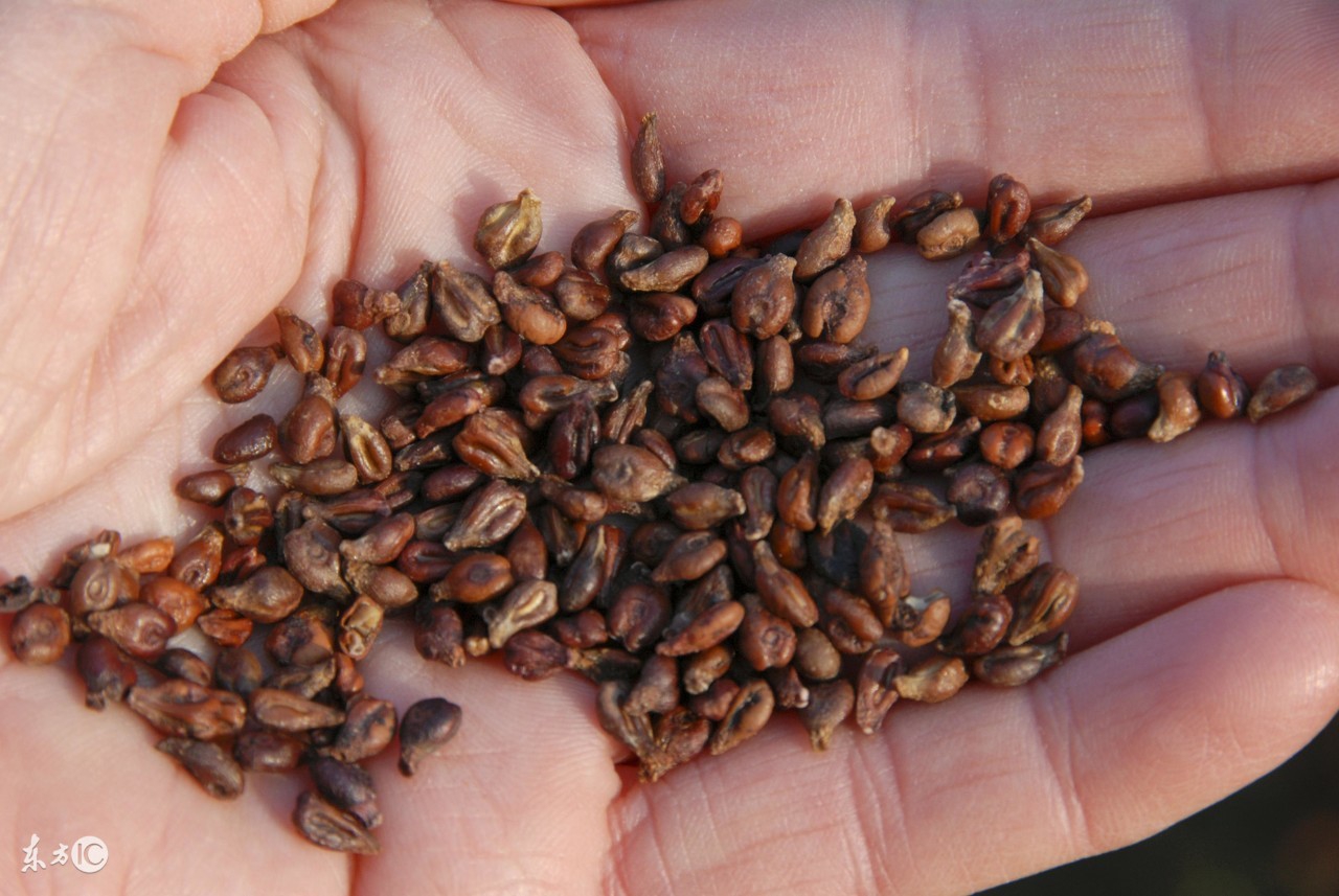 冬天皮肤老的快,养成这个小习惯,胜过1000元的精华液