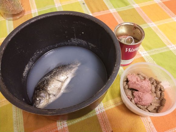 泰迪怀孕58天突然肚子变小,泰迪狗狗怀孕临产怎么安慰它