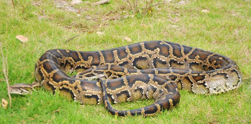 男默女泪系列完整版,男默女泪哪部电视剧好看