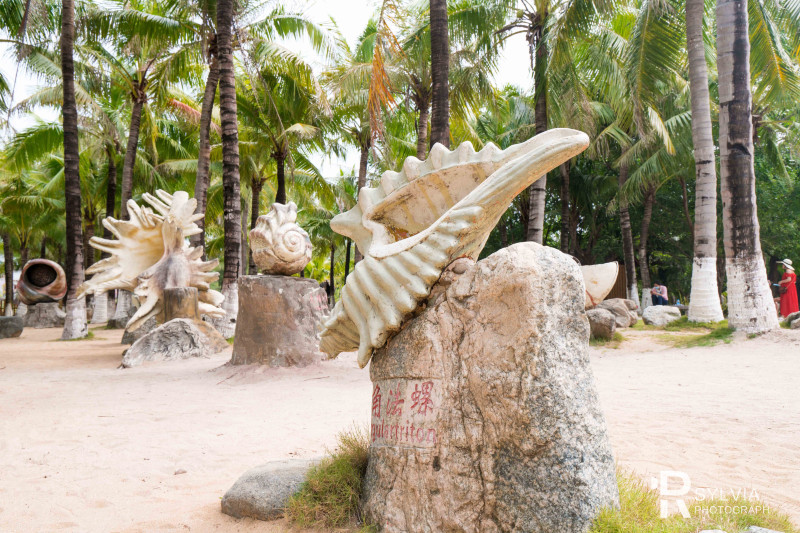 春节去三亚避寒攻略,冬天来三亚避寒