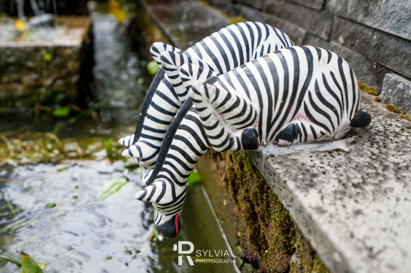 春节去三亚避寒攻略,冬天来三亚避寒