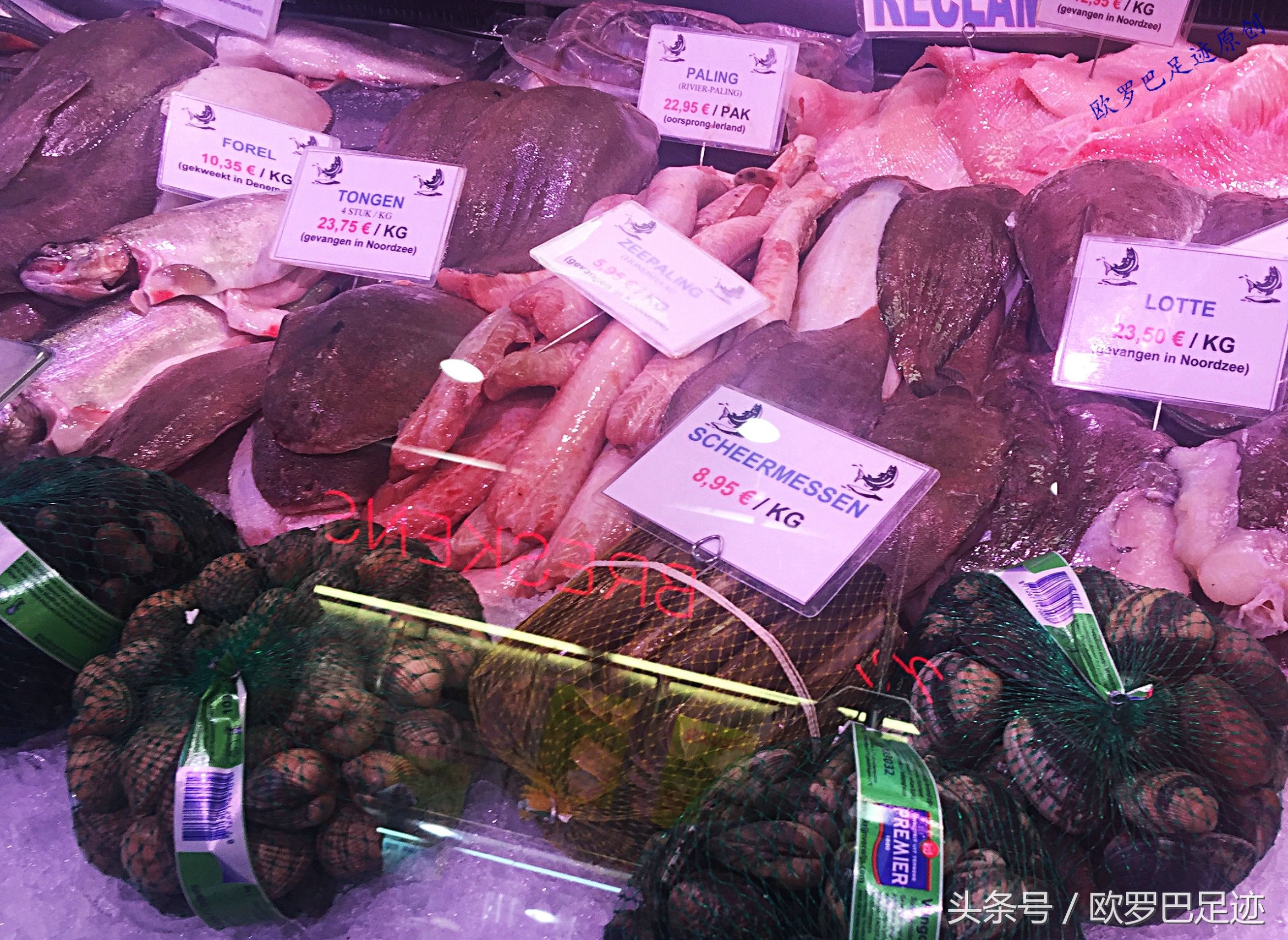 中国厨子邂逅欧洲小镇海鲜市,不认识的鱼炖起来也不手软