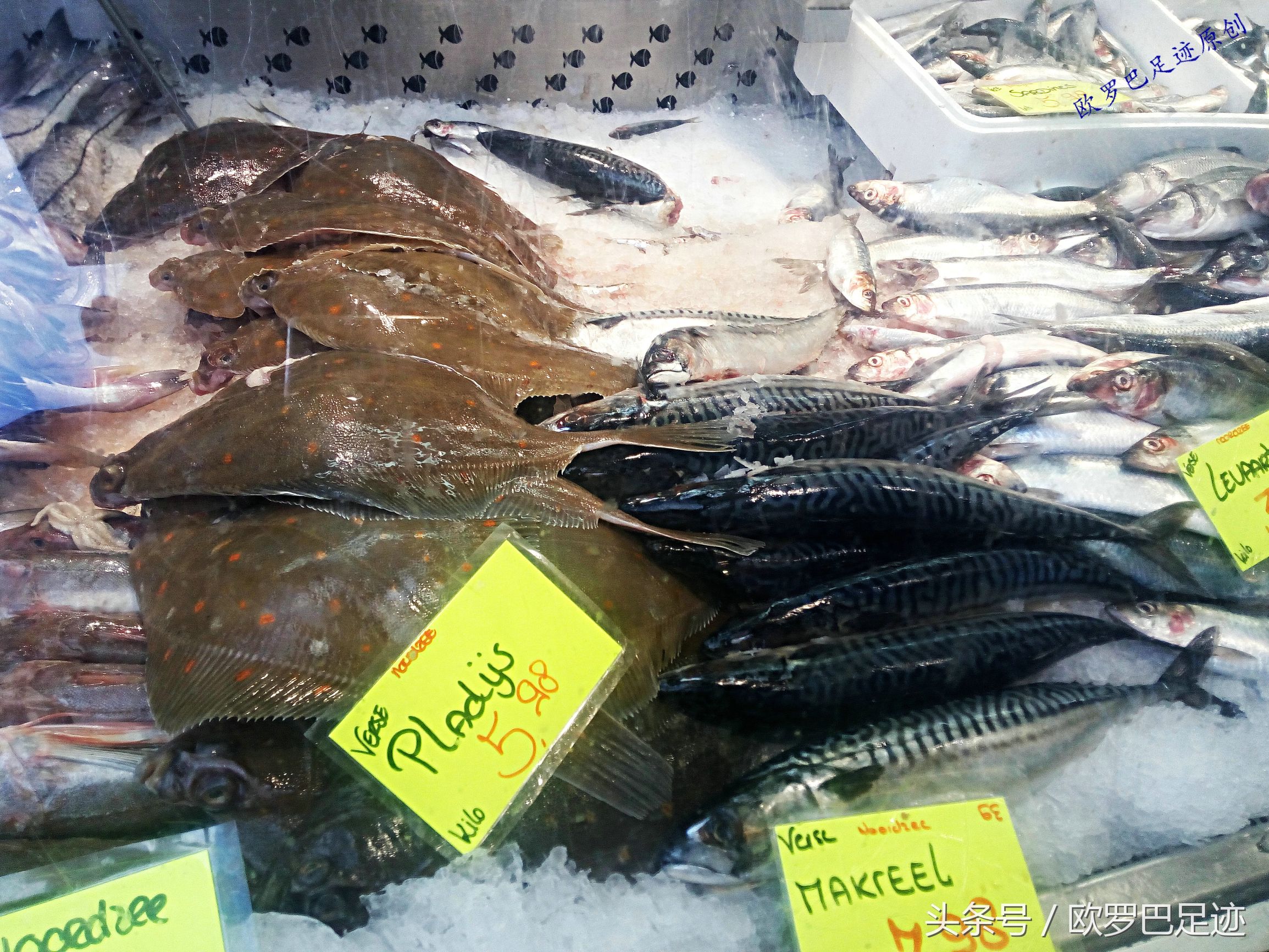 中国厨子邂逅欧洲小镇海鲜市,不认识的鱼炖起来也不手软