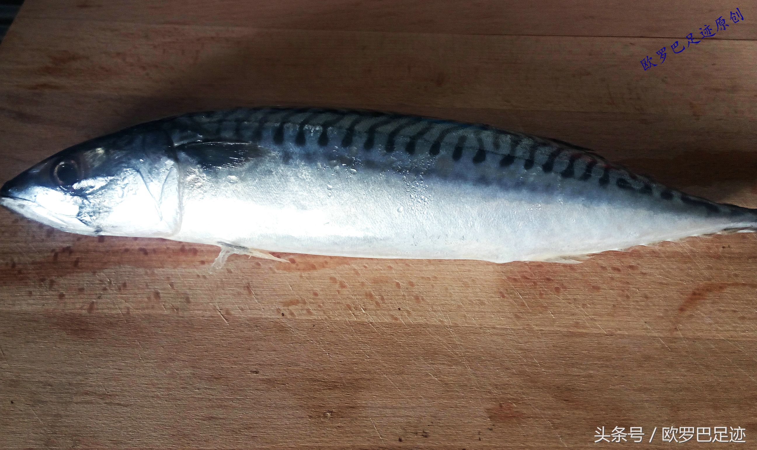 中国厨子邂逅欧洲小镇海鲜市,不认识的鱼炖起来也不手软