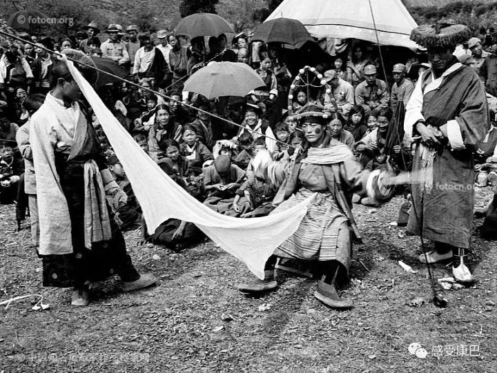 雪山上的红牡丹,藏族雪山上的红牡丹