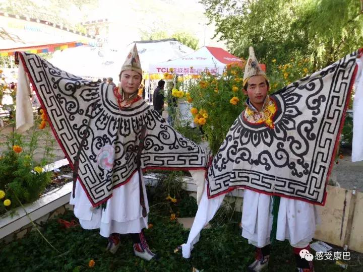 雪山上的红牡丹,藏族雪山上的红牡丹