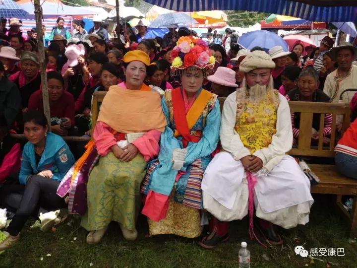 雪山上的红牡丹,藏族雪山上的红牡丹