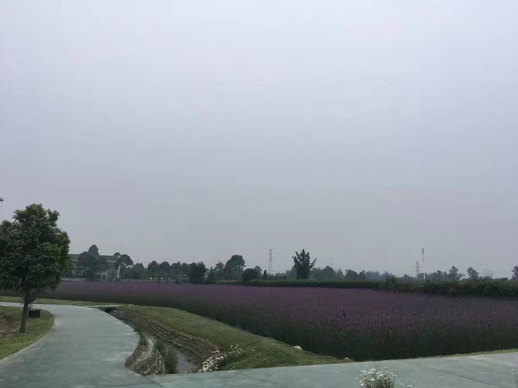 郫都区附近的农家乐和休闲农庄,郫都妈妈农庄照片