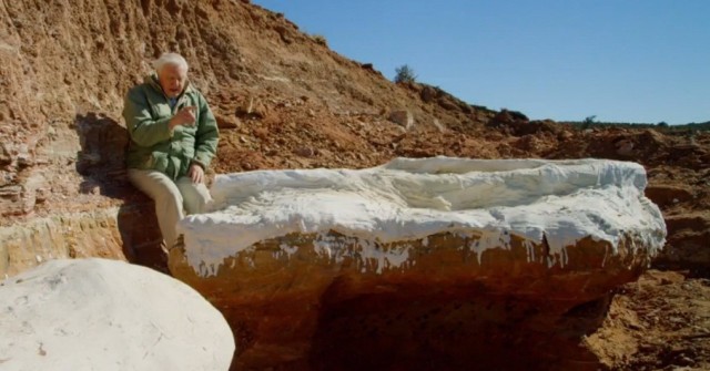 大卫爱登堡60年,大卫爱登堡中国