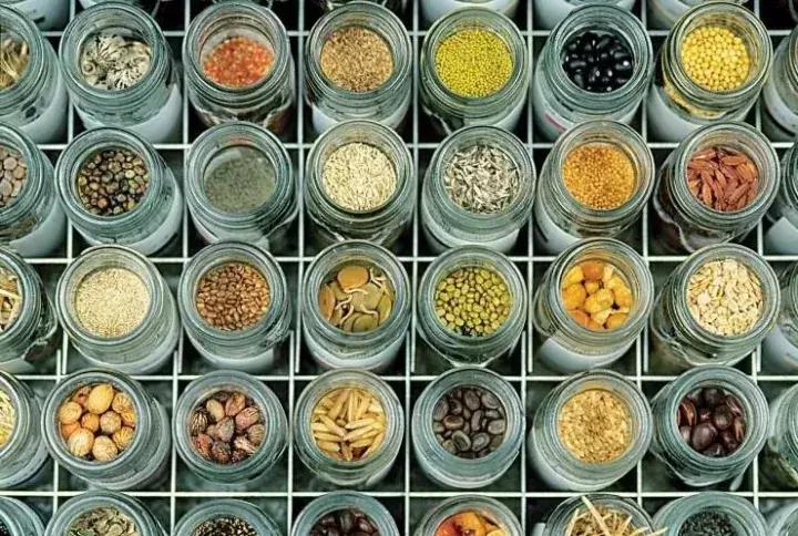 给未来“留种”!他们建的这个库是我见过最酷的