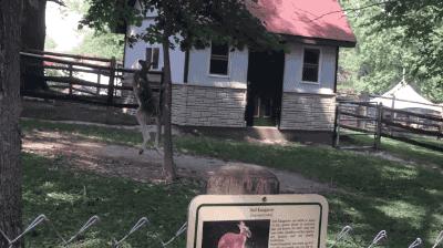 小姐姐你系完鞋带就快起来吧，都被人给看光，你长的好看才提醒你