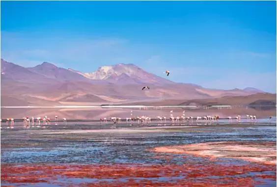 不想去旅行了是什么原因,30岁不想去旅行