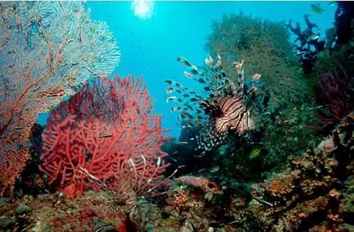 不想去旅行了是什么原因,30岁不想去旅行