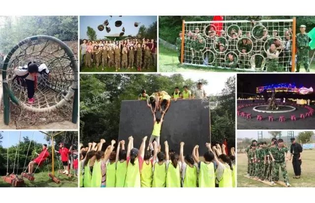 百万葵园一日游门票,葵园免费门票景点