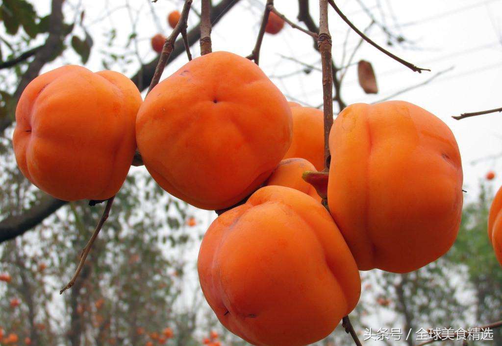 吃哪两种食物可以相克死亡,常吃这5类食物容易引发疾病