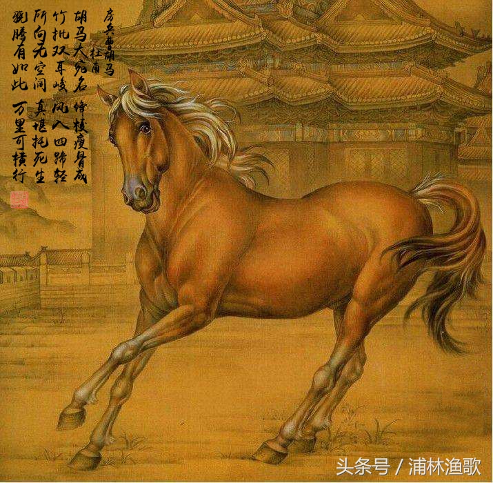 描写动物的古诗十首,十首关于动物的古诗