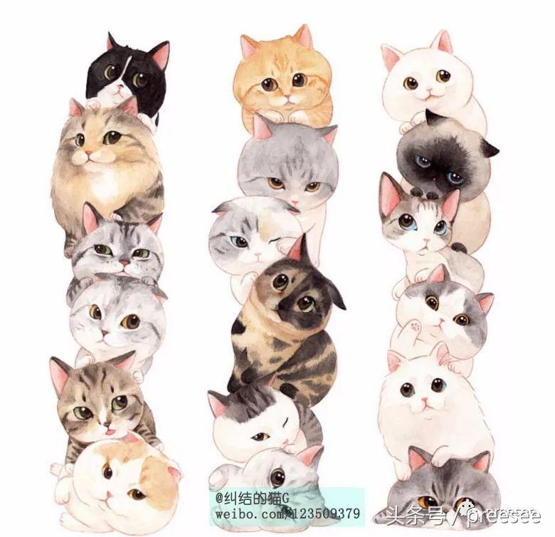 北京｜爱猫却不能亲近，于是她画出了一群萌猫