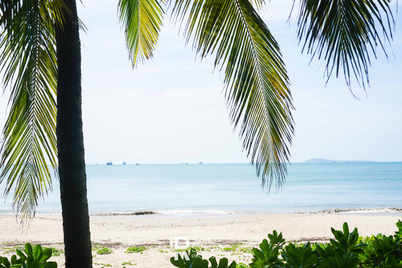 春节去三亚避寒攻略,冬天来三亚避寒