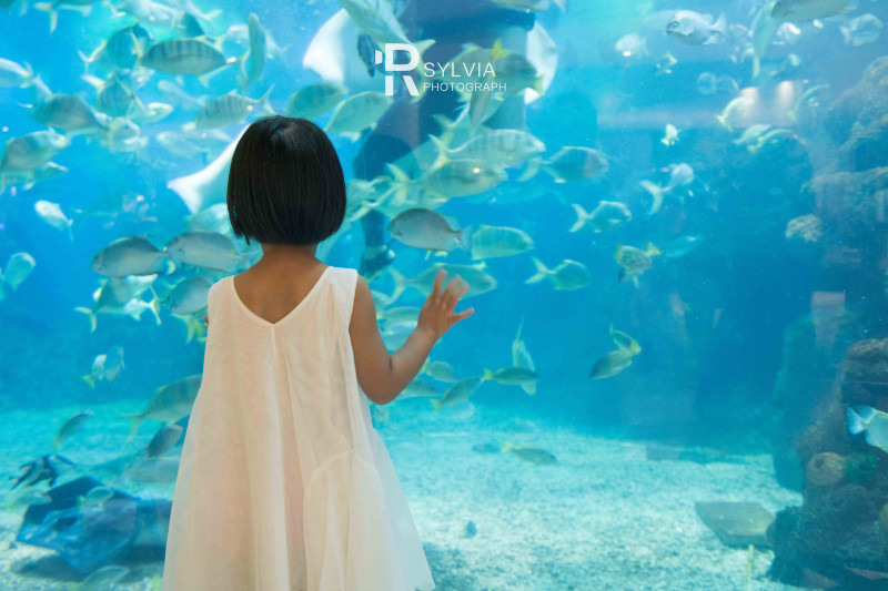 春节去三亚避寒攻略,冬天来三亚避寒