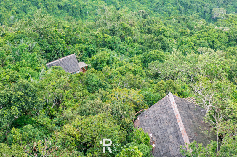 春节去三亚避寒攻略,冬天来三亚避寒