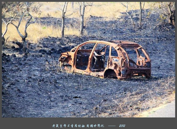 娲ュ反甯冮煢鎶楄闈炴硶鍒惰,娲ュ反甯冮煢涓轰粈涔堣鍒惰