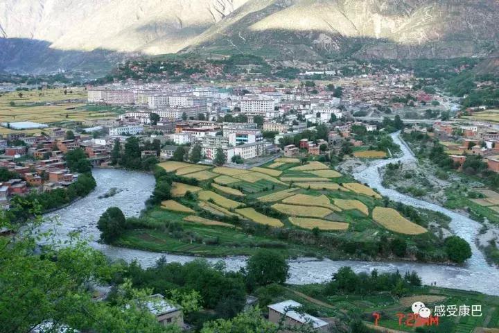 雪山上的红牡丹,藏族雪山上的红牡丹