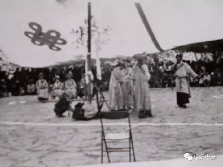 雪山上的红牡丹,藏族雪山上的红牡丹