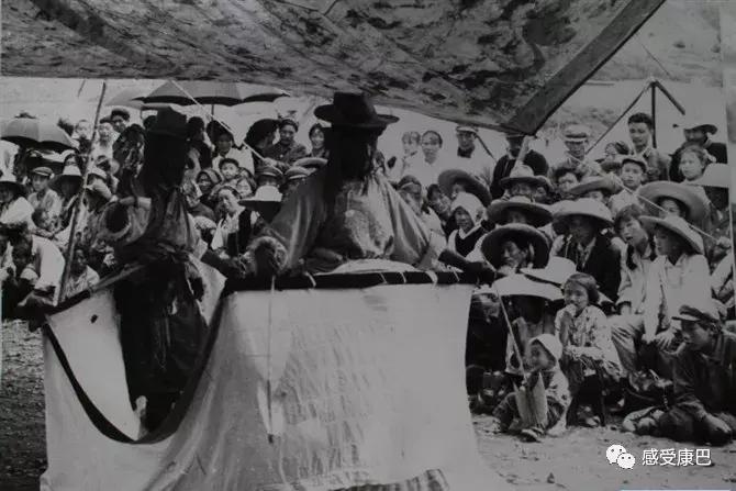 雪山上的红牡丹,藏族雪山上的红牡丹